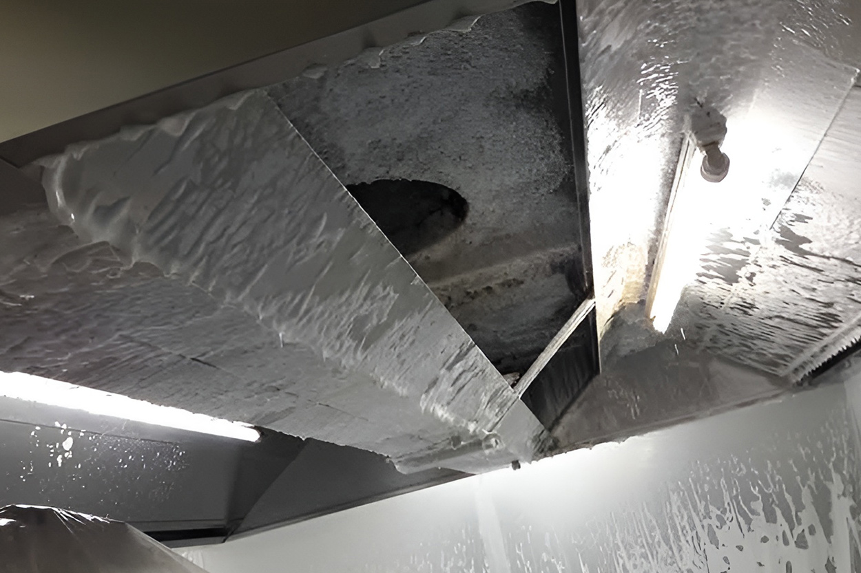 Chemisage canalisation Oloron, Chemisage canalisation Orthez, Chemisage canalisation Pau, Chemisage canalisation Tarbes, Chemisage canalisation Vic en Bigorre, Débouchage canalisation Oloron, Débouchage canalisation Orthez, Débouchage canalisation Pau, Débouchage canalisation Tarbes, Débouchage canalisation Vic en Bigorre, Débouchage WC Oloron, Débouchage WC Orthez, Débouchage WC Pau, Débouchage WC Tarbes, Débouchage WC Vic en Bigorre, Dégraissage hôtes Oloron, Dégraissage hôtes Orthez, Dégraissage hôtes Pau, Dégraissage hôtes Tarbes, Dégraissage hôtes Vic en Bigorre, Désinfection Oloron, Désinfection Orthez, Désinfection Pau, Désinfection Tarbes, Désinfection Vic en Bigorre, Espaces verts Oloron, Espaces verts Orthez, Espaces verts Pau, Espaces verts Tarbes, Espaces verts Vic en Bigorre, Inspection vidéo pour canalisation Oloron, Inspection vidéo pour canalisation Orthez, Inspection vidéo pour canalisation Pau, Inspection vidéo pour canalisation Tarbes, Inspection vidéo pour canalisation Vic en Bigorre, Nettoyage bureaux Oloron, Nettoyage bureaux Orthez, Nettoyage bureaux Pau, Nettoyage bureaux Tarbes, Nettoyage bureaux Vic en Bigorre, Nettoyage immeubles Oloron, Nettoyage immeubles Orthez, Nettoyage immeubles Pau, Nettoyage immeubles Tarbes, Nettoyage immeubles Vic en Bigorre, Nettoyage industriel Oloron, Nettoyage industriel Orthez, Nettoyage industriel Pau, Nettoyage industriel Tarbes, Nettoyage industriel Vic en Bigorre, Remise état après travaux Oloron, Remise état après travaux Orthez, Remise état après travaux Pau, Remise état après travaux Tarbes, Remise état après travaux Vic en Bigorre, Vidange bac à graisse Oloron, Vidange bac à graisse Orthez, Vidange bac à graisse Pau, Vidange bac à graisse Tarbes, Vidange bac à graisse Vic en Bigorre, Vidange fosse septique Oloron, Vidange fosse septique Orthez, Vidange fosse septique Pau, Vidange fosse septique Tarbes, Vidange fosse septique Vic en Bigorre