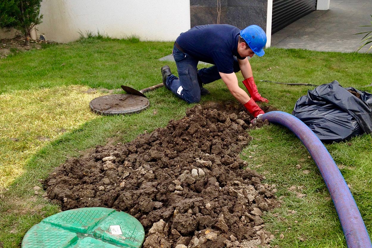 Chemisage canalisation Oloron, Chemisage canalisation Orthez, Chemisage canalisation Pau, Chemisage canalisation Tarbes, Chemisage canalisation Vic en Bigorre, Débouchage canalisation Oloron, Débouchage canalisation Orthez, Débouchage canalisation Pau, Débouchage canalisation Tarbes, Débouchage canalisation Vic en Bigorre, Débouchage WC Oloron, Débouchage WC Orthez, Débouchage WC Pau, Débouchage WC Tarbes, Débouchage WC Vic en Bigorre, Dégraissage hôtes Oloron, Dégraissage hôtes Orthez, Dégraissage hôtes Pau, Dégraissage hôtes Tarbes, Dégraissage hôtes Vic en Bigorre, Désinfection Oloron, Désinfection Orthez, Désinfection Pau, Désinfection Tarbes, Désinfection Vic en Bigorre, Espaces verts Oloron, Espaces verts Orthez, Espaces verts Pau, Espaces verts Tarbes, Espaces verts Vic en Bigorre, Inspection vidéo pour canalisation Oloron, Inspection vidéo pour canalisation Orthez, Inspection vidéo pour canalisation Pau, Inspection vidéo pour canalisation Tarbes, Inspection vidéo pour canalisation Vic en Bigorre, Nettoyage bureaux Oloron, Nettoyage bureaux Orthez, Nettoyage bureaux Pau, Nettoyage bureaux Tarbes, Nettoyage bureaux Vic en Bigorre, Nettoyage immeubles Oloron, Nettoyage immeubles Orthez, Nettoyage immeubles Pau, Nettoyage immeubles Tarbes, Nettoyage immeubles Vic en Bigorre, Nettoyage industriel Oloron, Nettoyage industriel Orthez, Nettoyage industriel Pau, Nettoyage industriel Tarbes, Nettoyage industriel Vic en Bigorre, Remise état après travaux Oloron, Remise état après travaux Orthez, Remise état après travaux Pau, Remise état après travaux Tarbes, Remise état après travaux Vic en Bigorre, Vidange bac à graisse Oloron, Vidange bac à graisse Orthez, Vidange bac à graisse Pau, Vidange bac à graisse Tarbes, Vidange bac à graisse Vic en Bigorre, Vidange fosse septique Oloron, Vidange fosse septique Orthez, Vidange fosse septique Pau, Vidange fosse septique Tarbes, Vidange fosse septique Vic en Bigorre